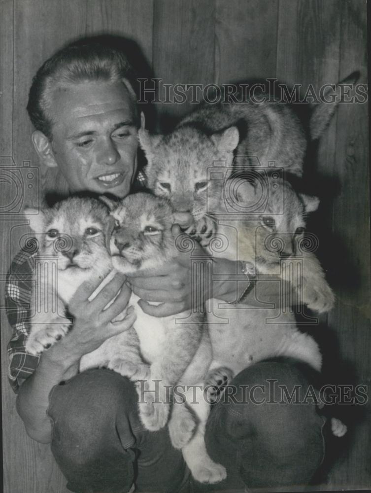 1957 Press Photo four lion cubs at the zoo in Nuremberg - Historic Images