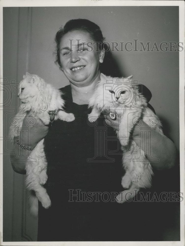 Press Photo Swiss Breeding, Mrs Schurmann, German Show, Precious Cats, Wiesbaden - Historic Images