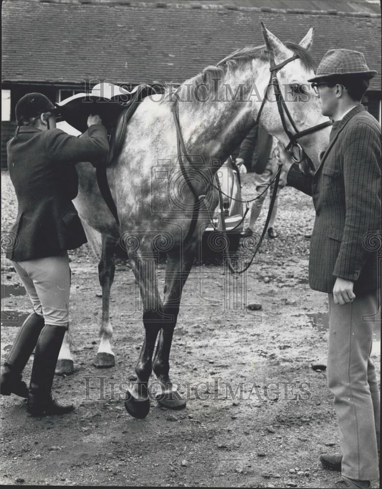 Press Photo Saddling Mercury - Historic Images