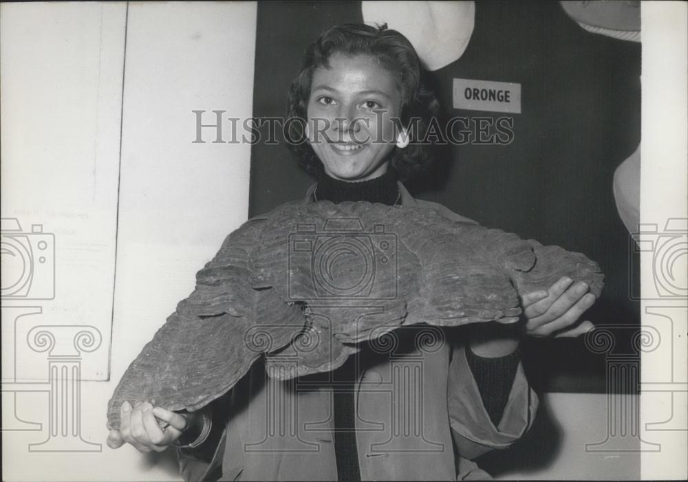 1956 Press Photo Giant Agaric Mushroom Species Paris Show Opening France - Historic Images