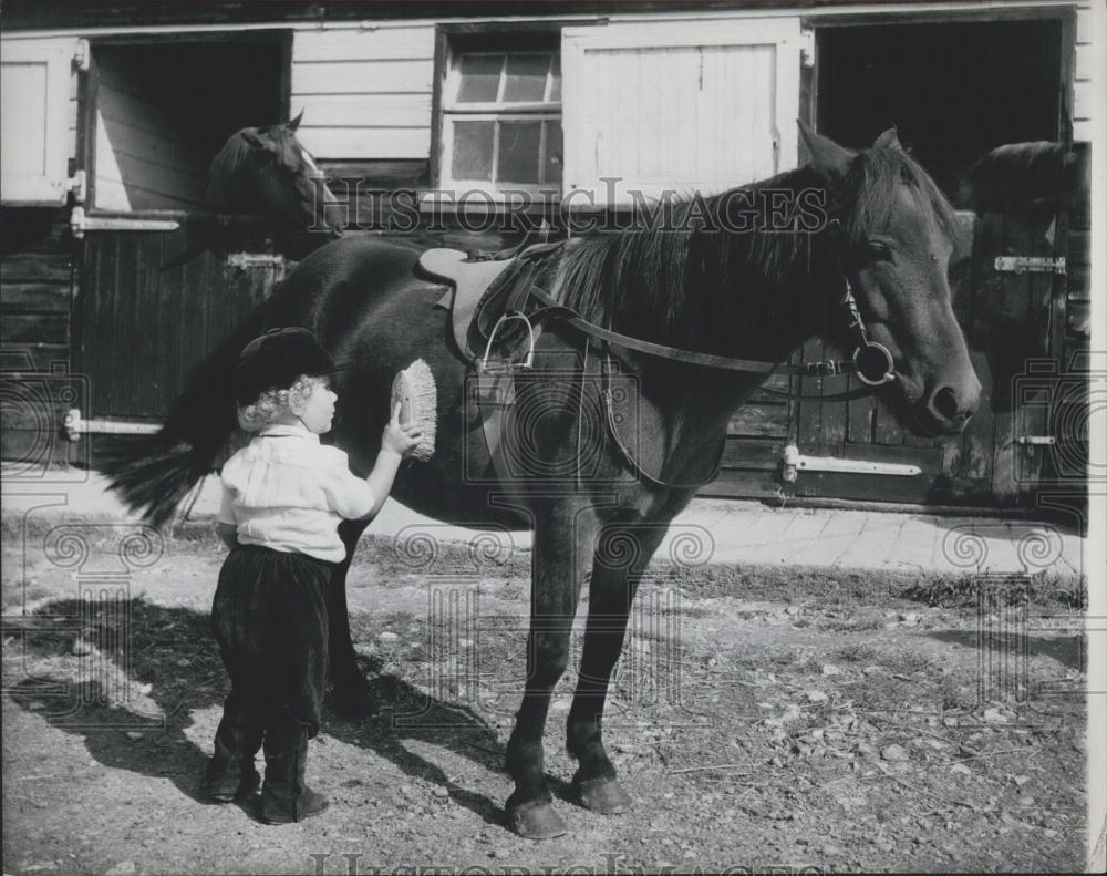 Press Photo Martin Brierley gives Dot a brushing - Historic Images