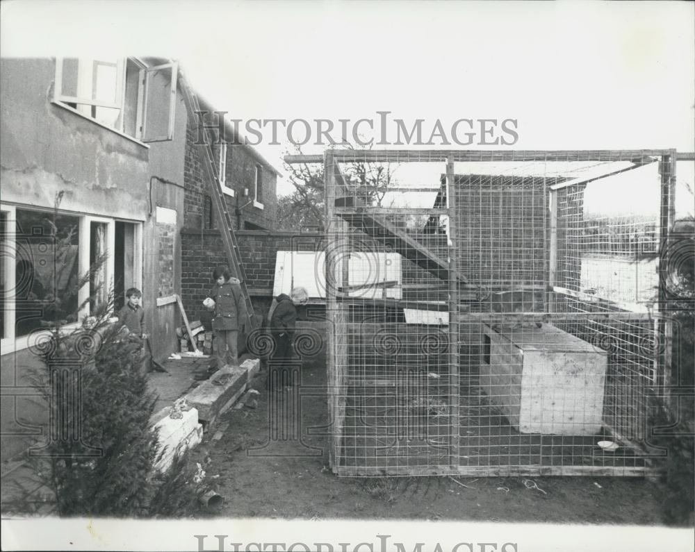 Press Photo Sheba, Hurst Family, Puma, Newborough, Lancashire - Historic Images