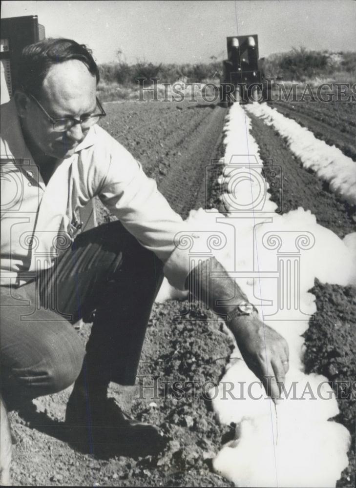 Press Photo Revolutionary Foam Blanket to Protect Cropsand scientist - Historic Images