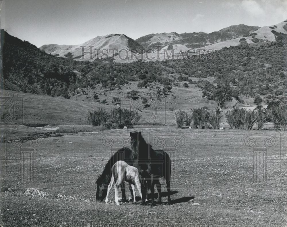 Press Photo Common Hunting &amp; Fishing Grounds Near Quito - Historic Images