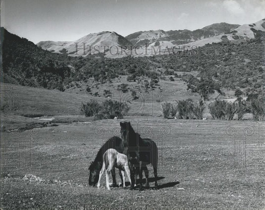 Press Photo Common Hunting & Fishing Grounds Near Quito - Historic Images