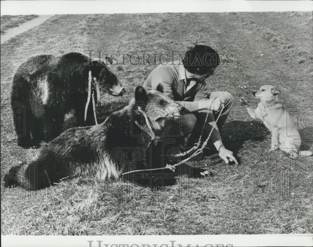 Press Photo Bear Trainer Dieter Kramel with his bears and dog Struppi - Historic Images