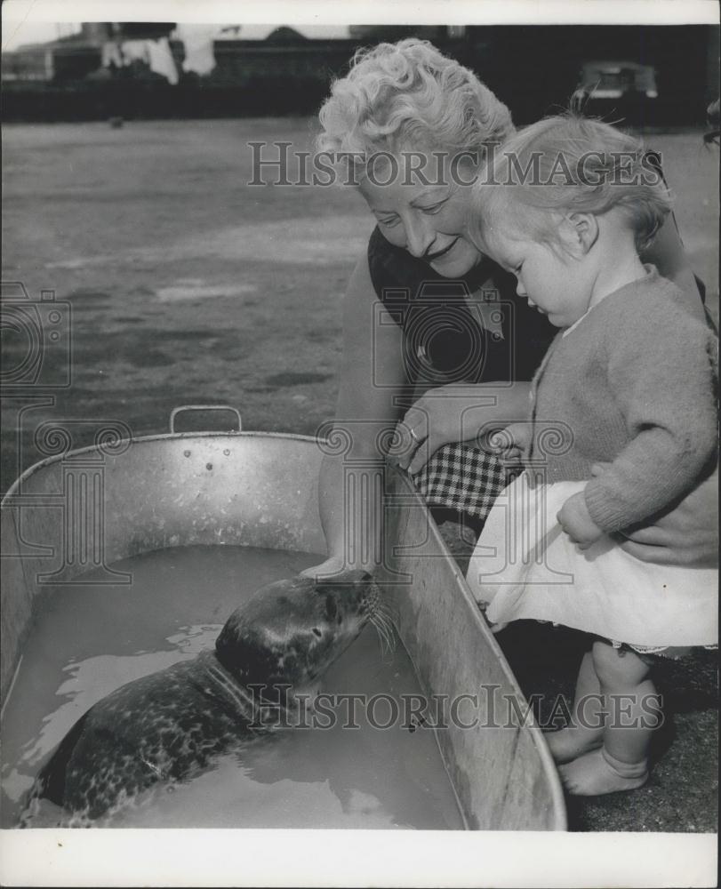 Press Photo Seal Sally, Grace Smeaton, Katie Baillie - Historic Images