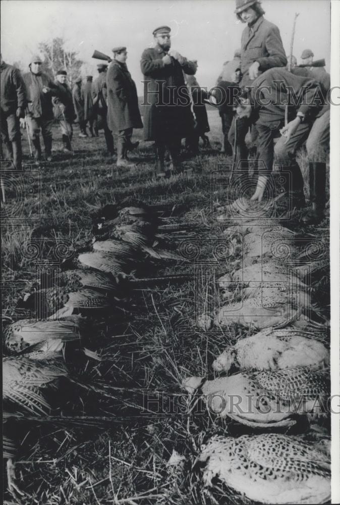 Press Photo The marksmen here seen laying out the Pheasants they killed - Historic Images