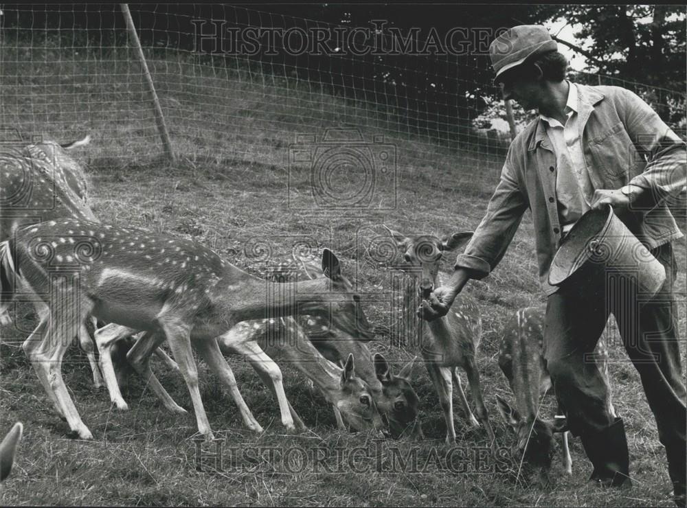 1981 Press Photo Swiss Farmer Bruno Frey, Lucerne, Deer - Historic Images