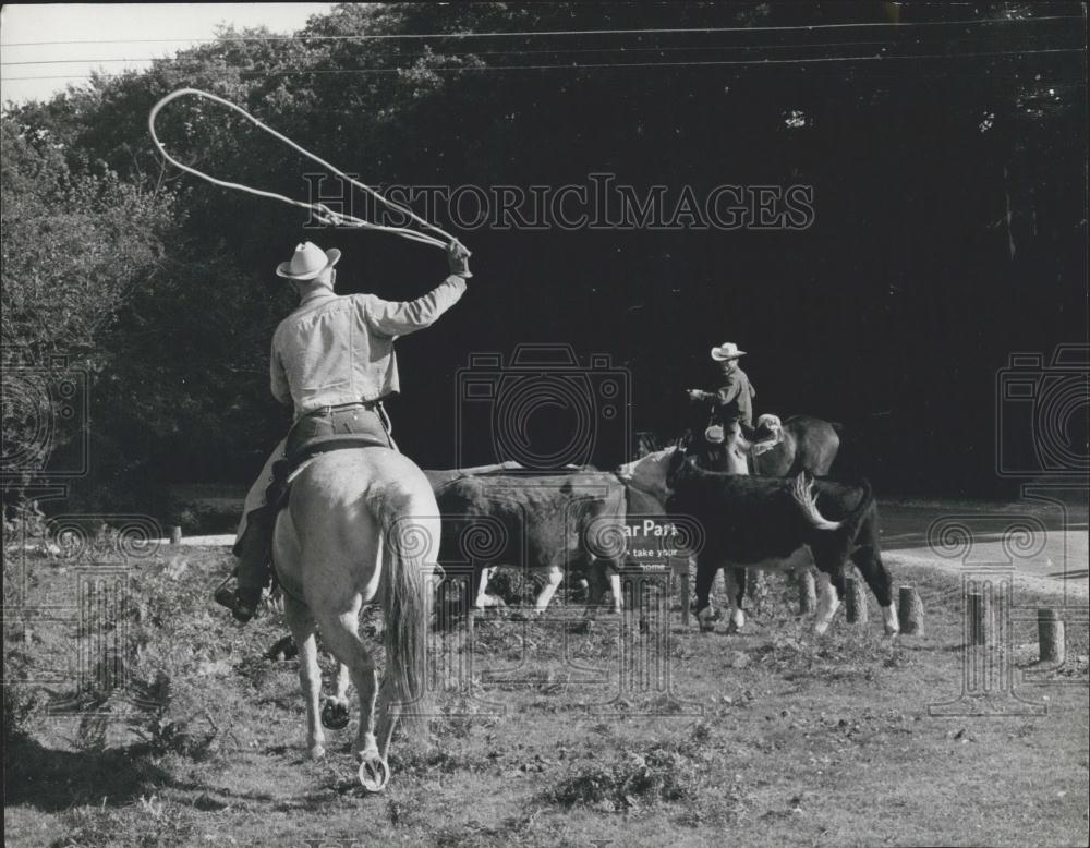 1971 Press Photo Ed Ivory Demos Rope-Swinging To Save Cattle From Acorns - Historic Images