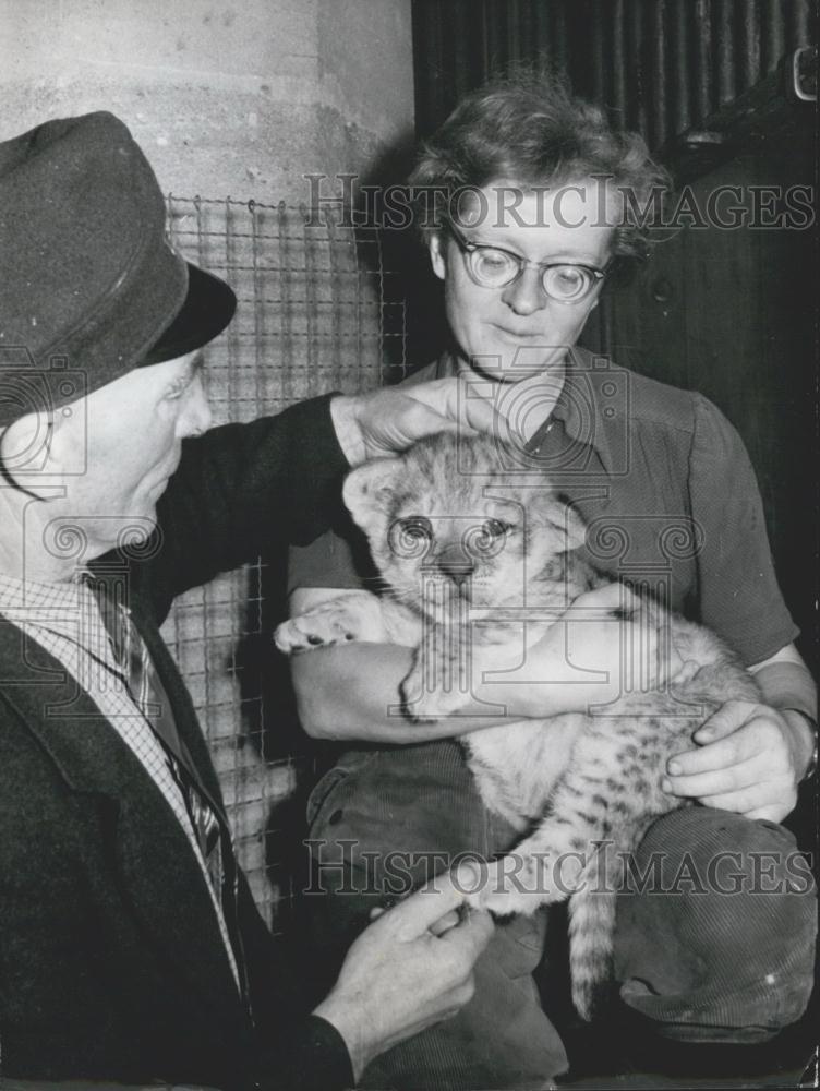 1956 Press Photo Mrs. Storch and Mr. Walz. with Dickerle one of 5 lion-babies - Historic Images