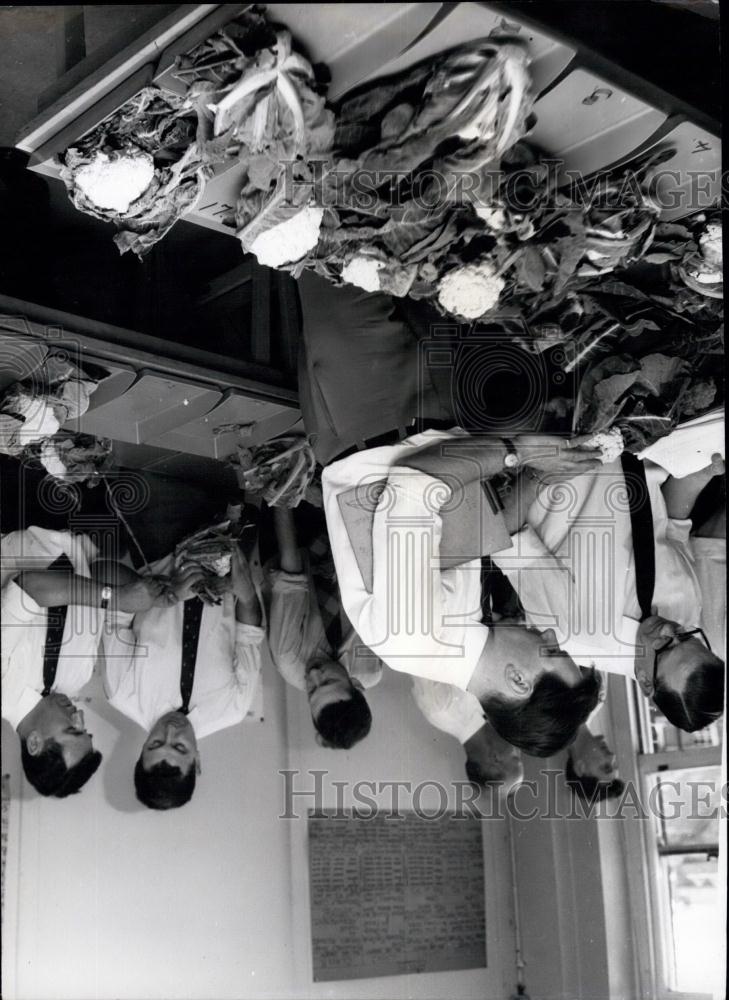 Press Photo Tomatoes Being Graded By Trainee Inspectors - Historic Images