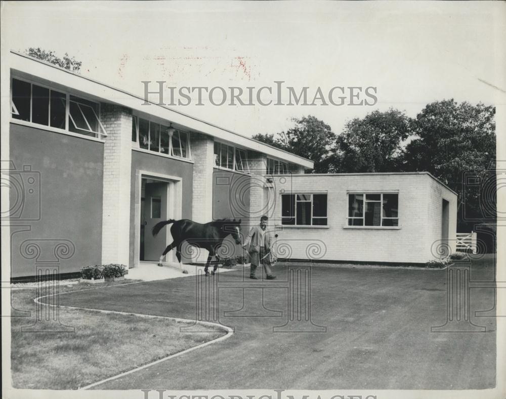 1961 Press Photo Gladys Yule Surgical Wing at the Animal Health Trust Equine Res - Historic Images