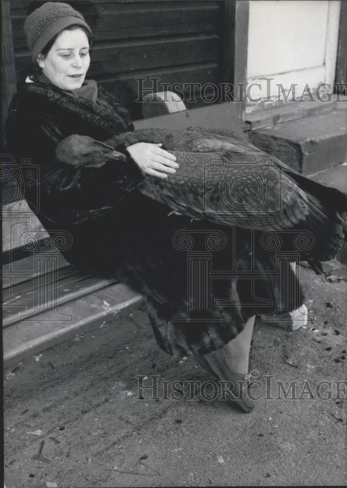1960 Press Photo &quot;Friedrich&quot;, a young Condor at Frankfurt Zoo. - Historic Images