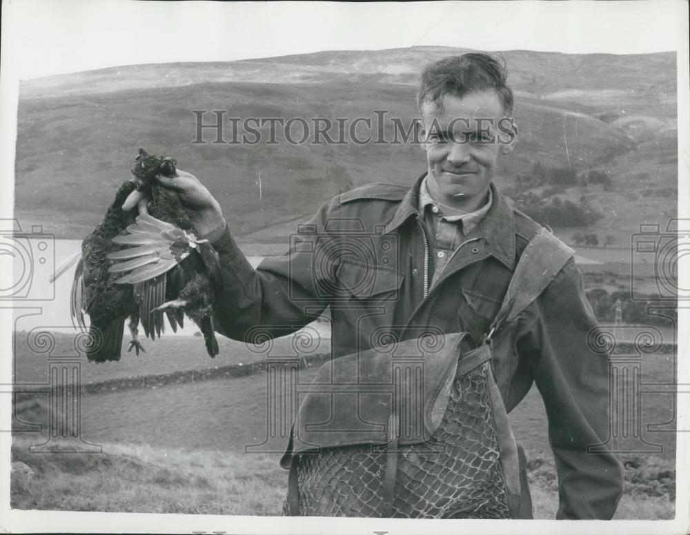 1960 Press Photo Grouse shooting at Turrerich - Historic Images