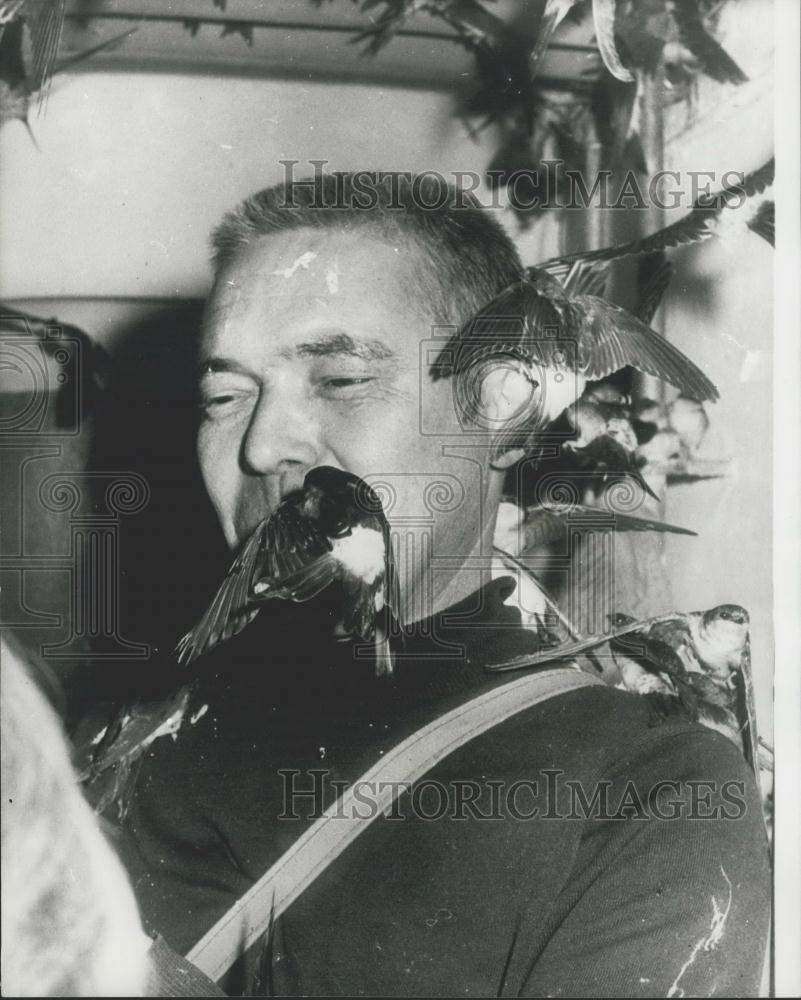 1974 Press Photo Frozen Swallows are revived in Switzerland & flown to Greece - Historic Images