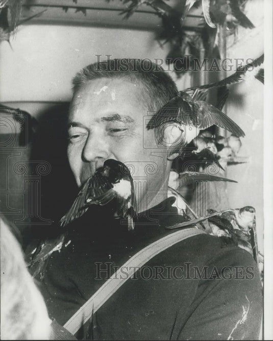 1974 Press Photo Frozen Swallows are revived in Switzerland & flown to Greece - Historic Images