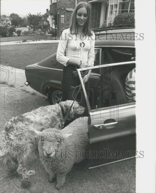 Press Photo Carilyn Oddy walking her dog and sheep on a leash - Historic Images
