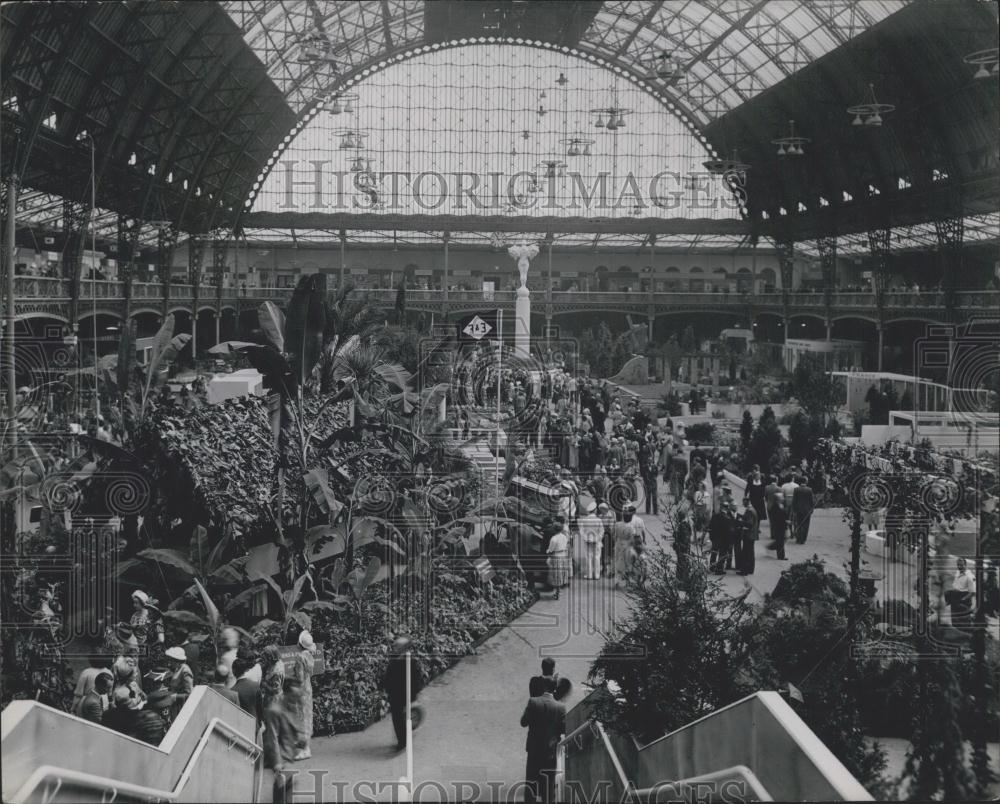 1949 Press Photo National Garden Show at National Hall in Olympia. - Historic Images