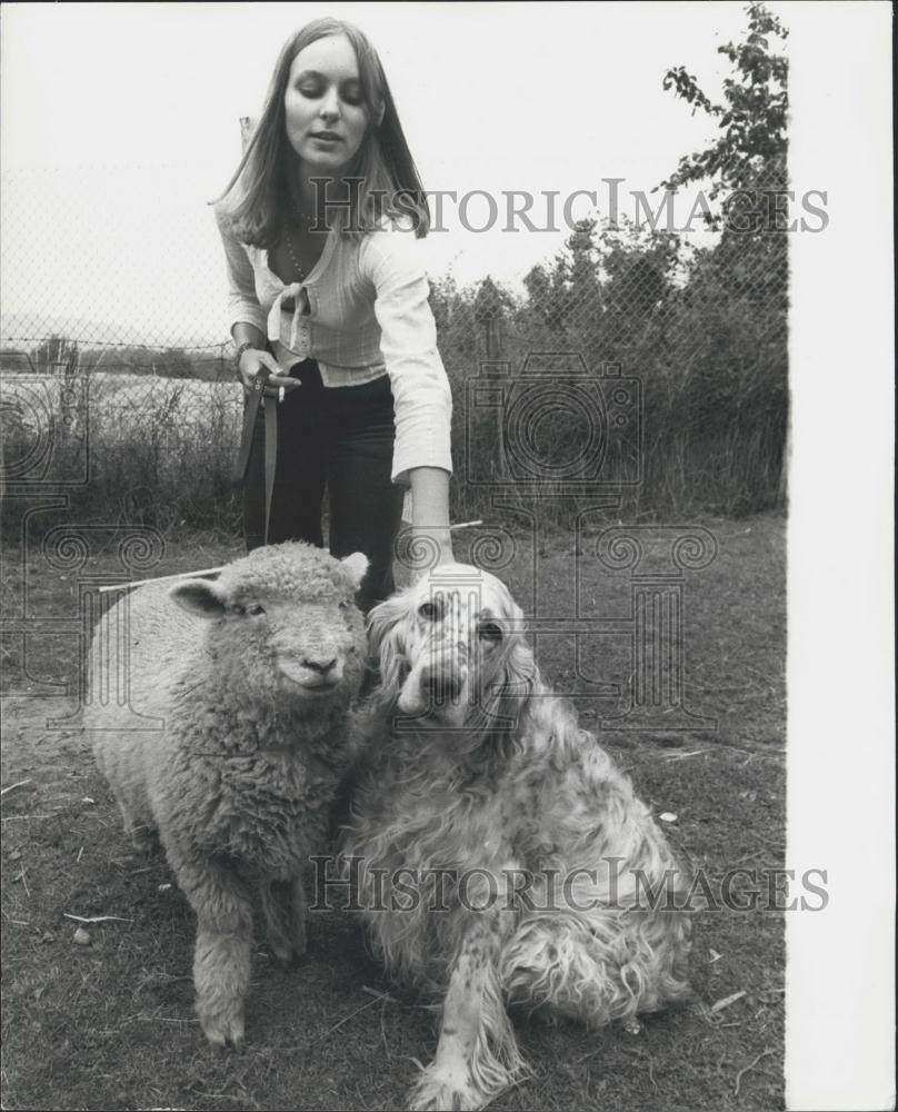 Press Photo Carilyn Oddy takes her dog and sheep out for a walk - Historic Images