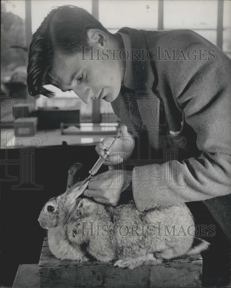 Press Photo Dr. William Black of Boghali Farm gives shot to a rabbit - Historic Images