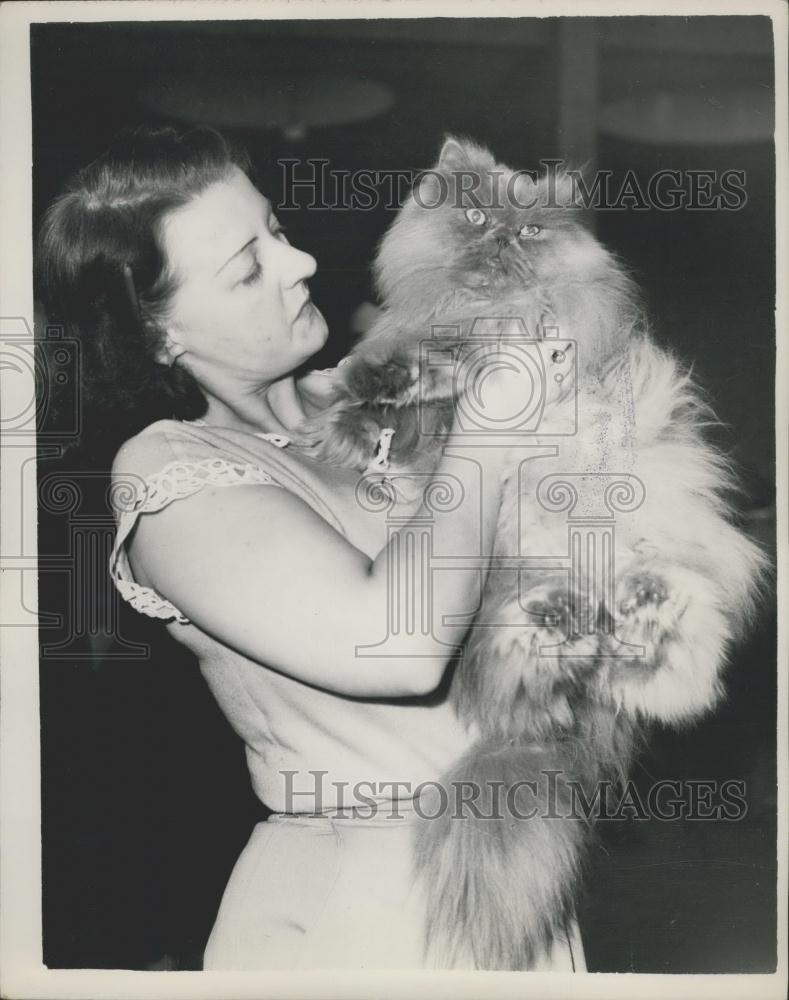 1951 Press Photo Blue Persian cat and Mrs. W. Davis - Historic Images