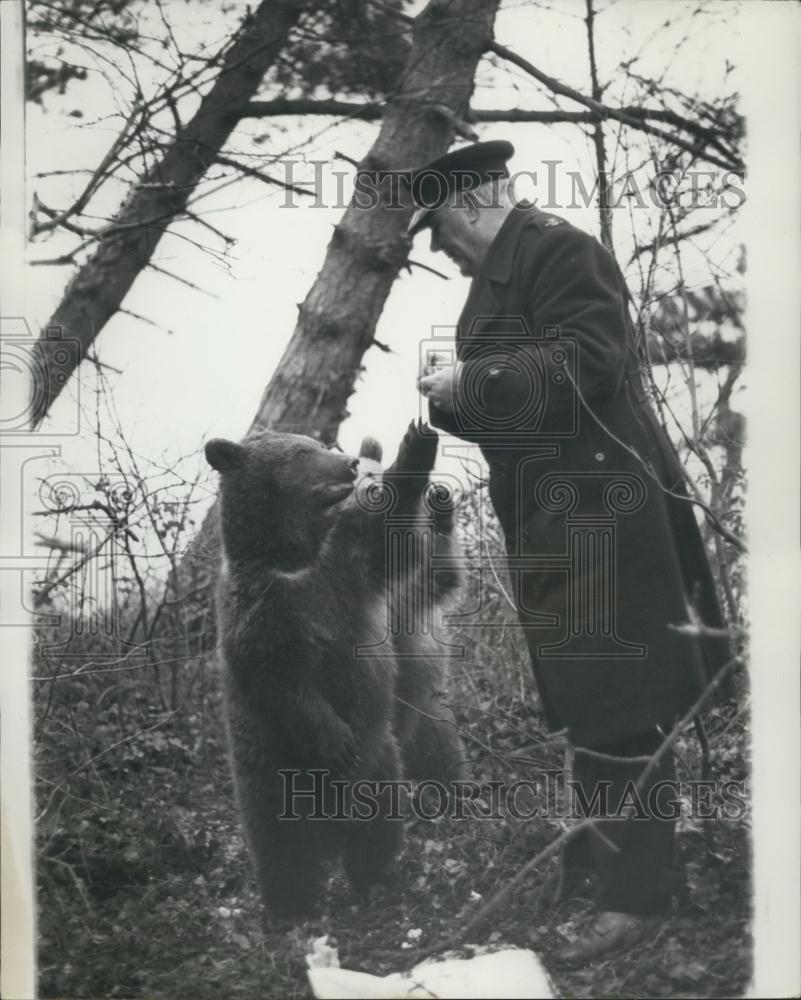 1966 Press Photo Nikita and Valentina, two Russian bears &amp; Harold Slater - Historic Images
