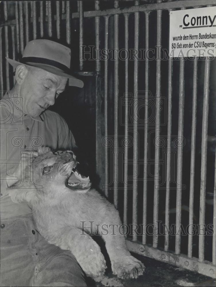 1956 Press Photo Zoo in Cologne,The little lion "Conny" - Historic Images