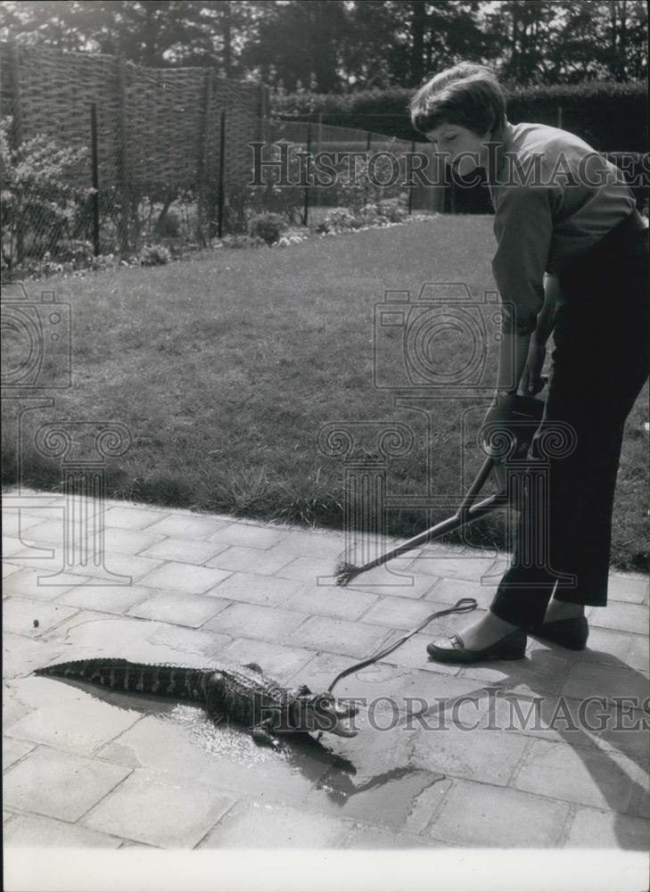 Press Photo Anne Kindler and pet alligator - Historic Images