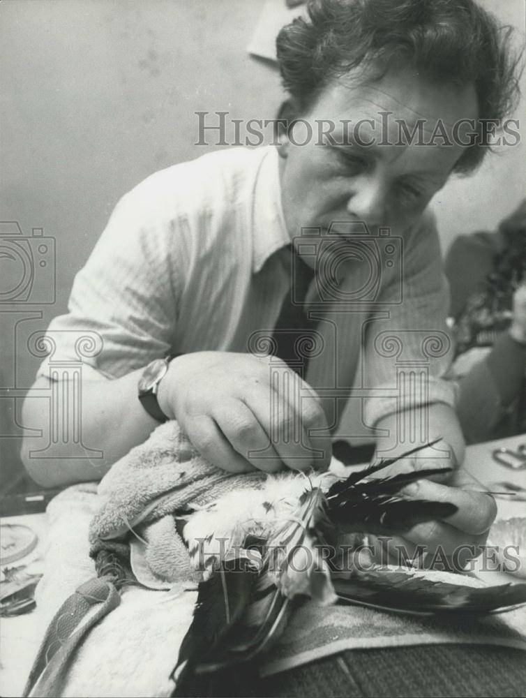 Press Photo Replacement Tail Feathers - Historic Images