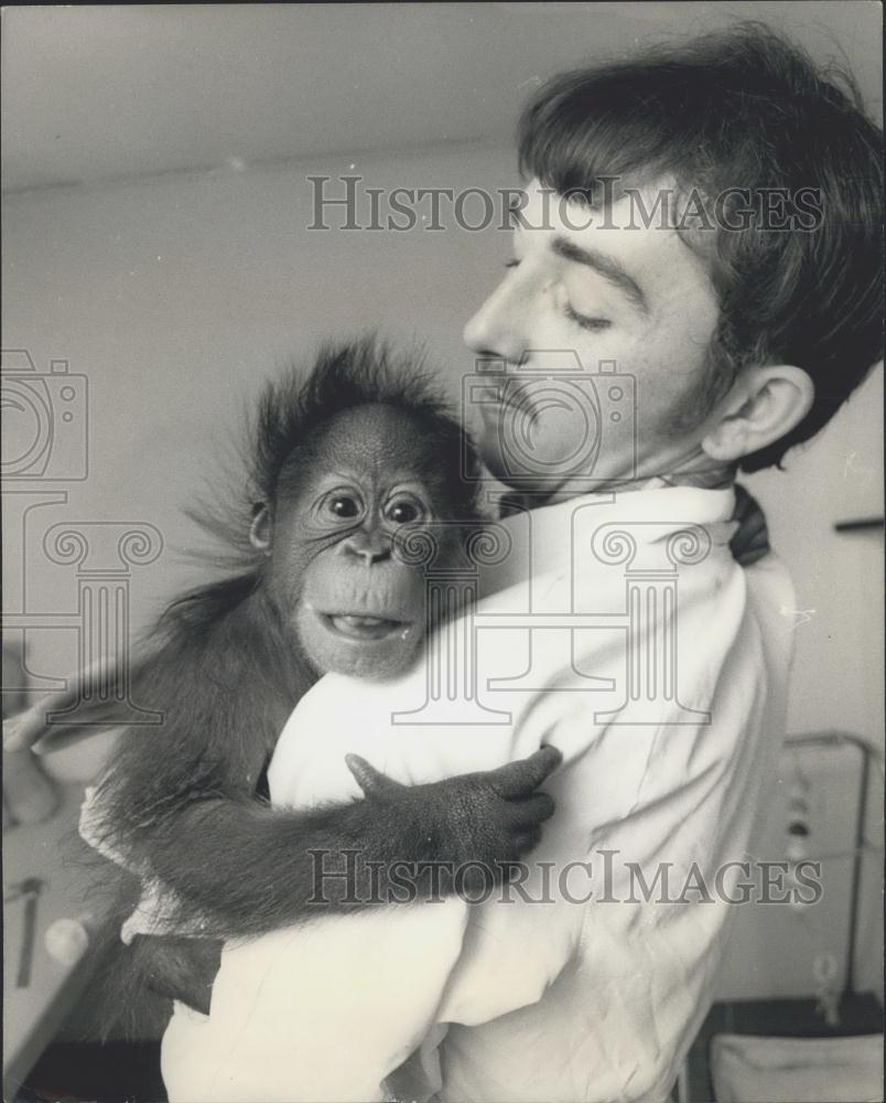 1967 Press Photo Keith Leidler and baby orangutan - Historic Images