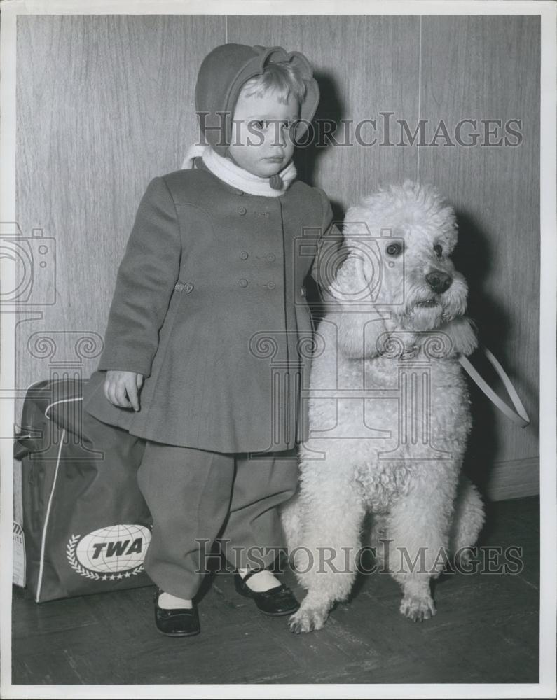 Press Photo Kim Goldstein, 2, and a French poodle - Historic Images