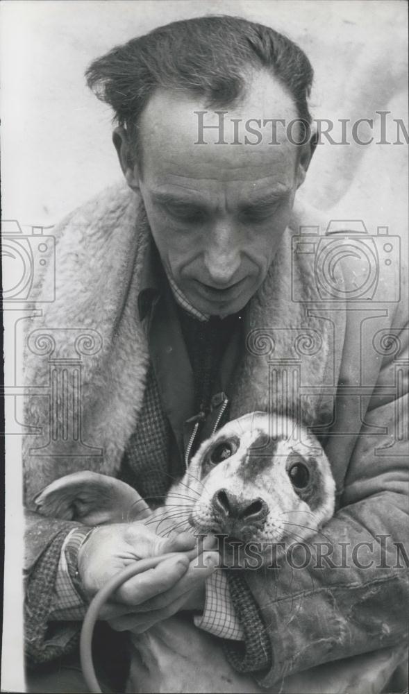 1969 Press Photo Feeding a sick Seal - Historic Images