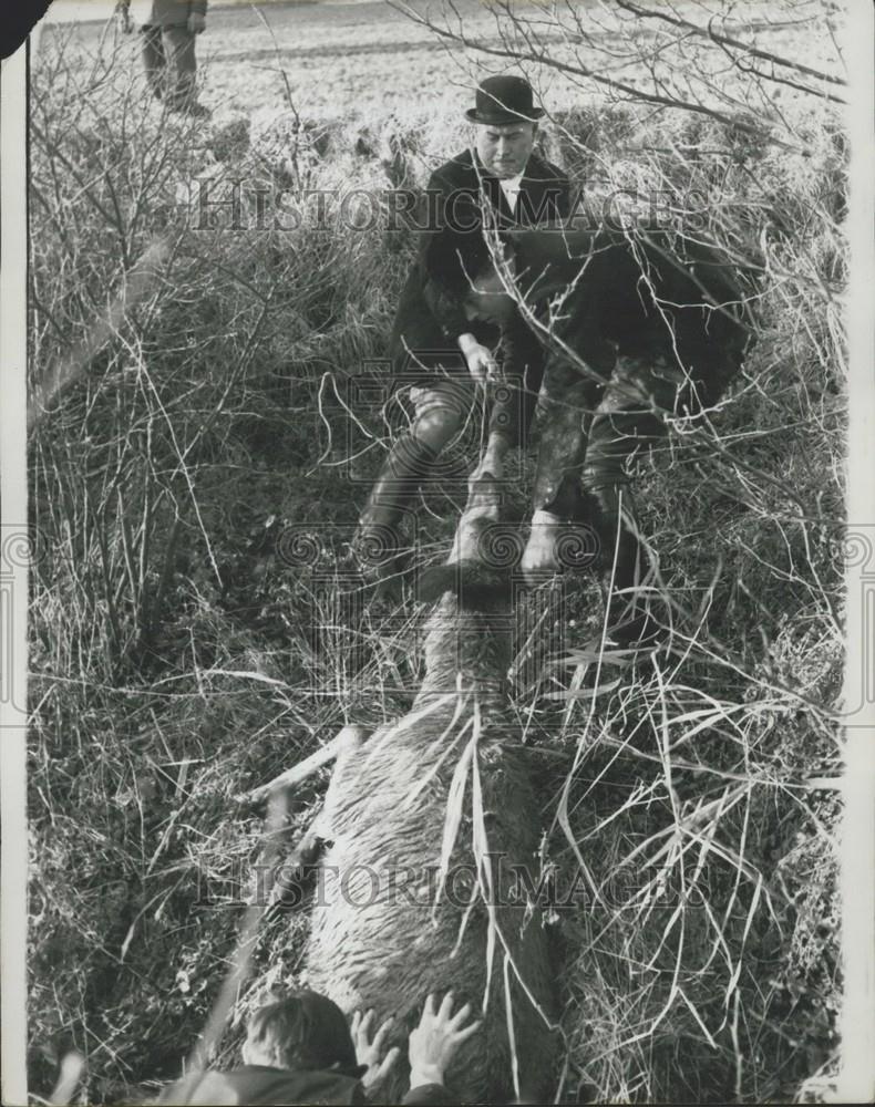 1962 Press Photo Hunting the Stag - Historic Images