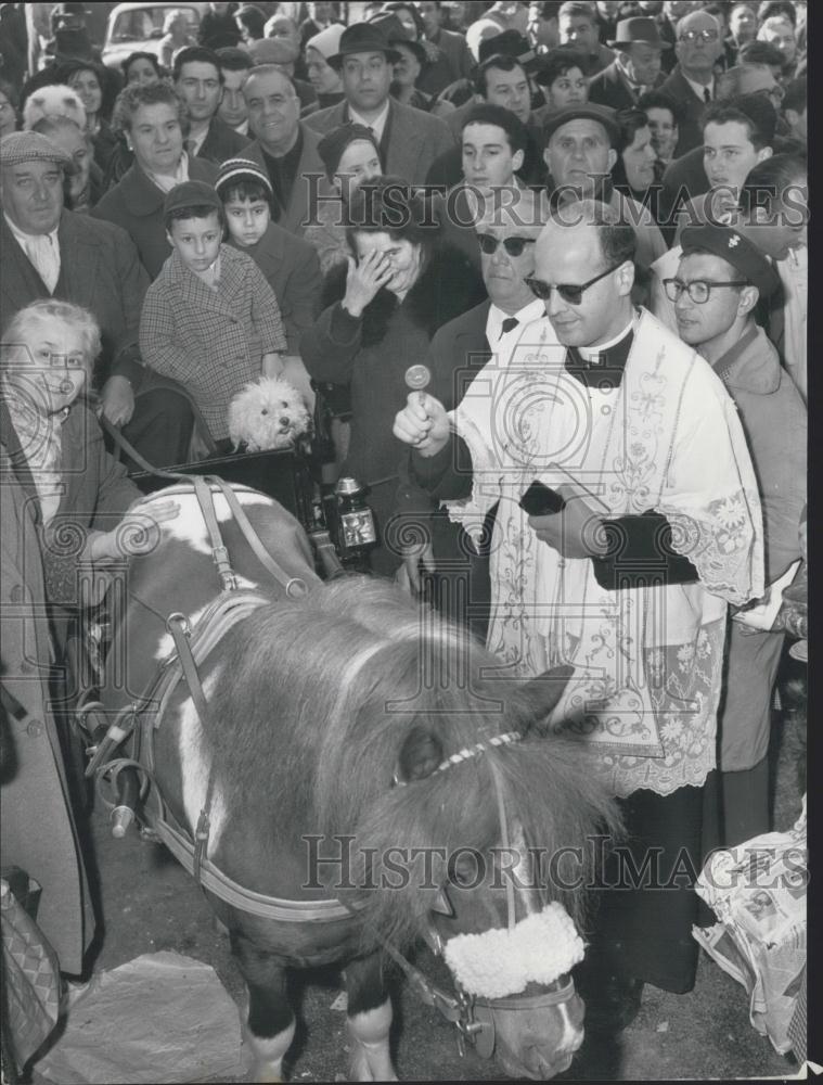 1964 Press Photo Ritual Ceremony Blessing Animals Church St. Eusebio Rome - Historic Images