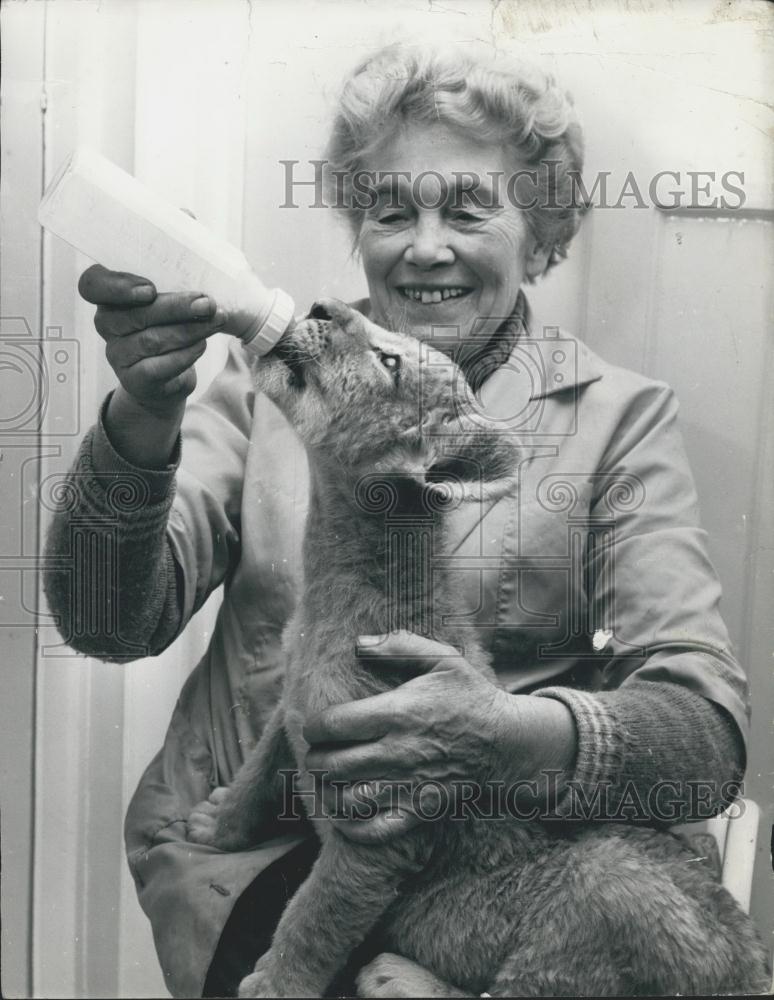 Press Photo Mrs. Langton Feeds Baby Lion - Historic Images