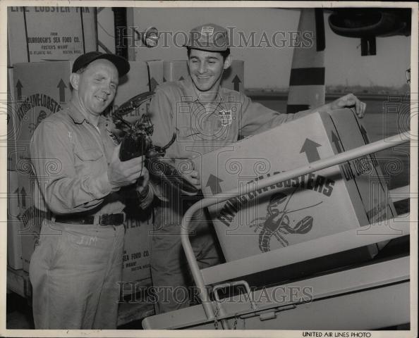 1954 Press Photo Lobster - Historic Images