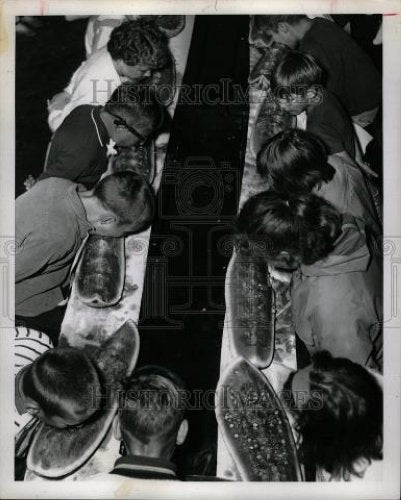 1965 Press Photo Mich. State Fair Watermelon - Historic Images