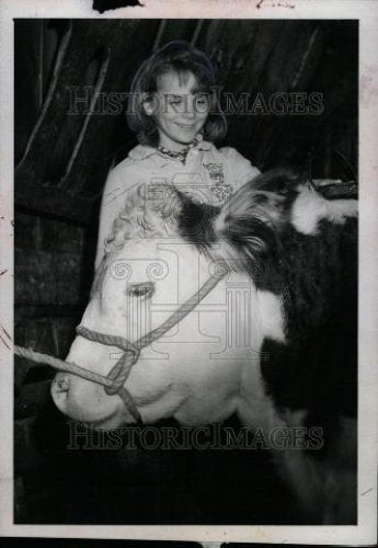 1966 Press Photo susan dansvillie ingham steerlivestock - Historic Images