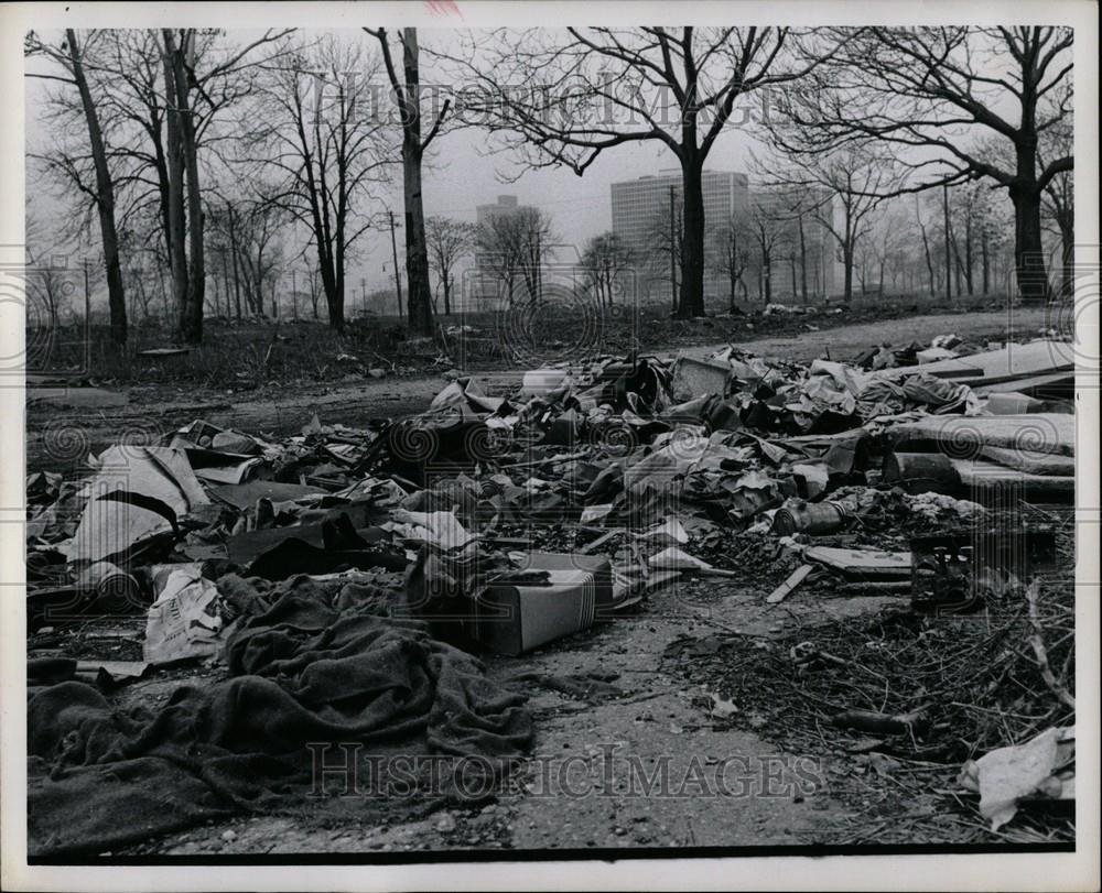 1964 Press Photo Litter - Historic Images