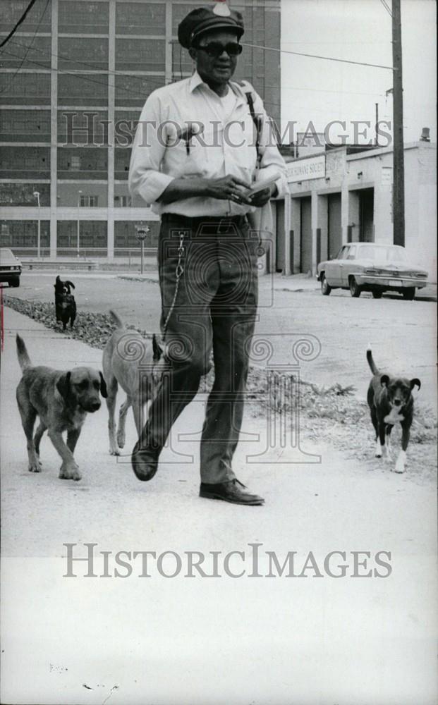 1972 Press Photo Postman and dogs - Historic Images