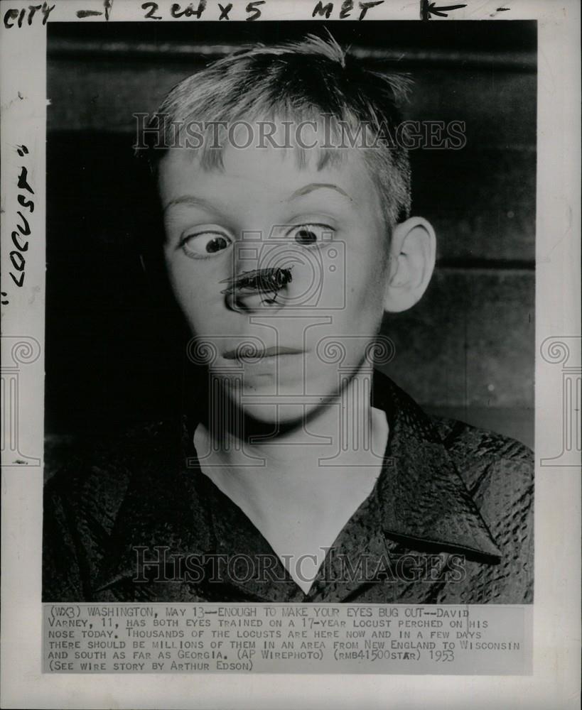 1953 Press Photo David Varney logust perched eyes - Historic Images