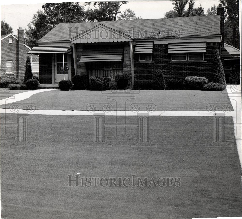 1955 Press Photo Lawn Grasses Turf Pitch Field Green - Historic Images