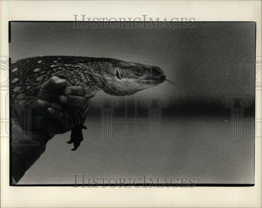 1987 Press Photo Kindergartners African monitor lizard - Historic Images