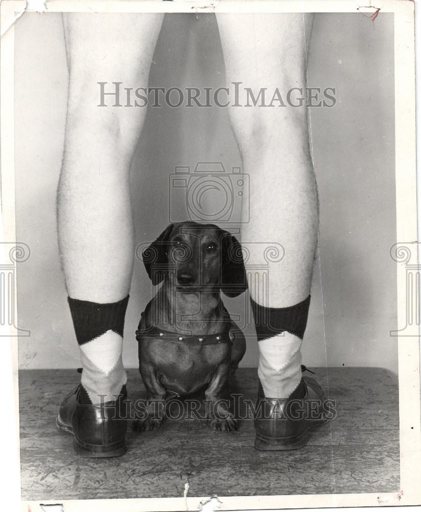 1953 Press Photo Dr. Robert Goodman - Historic Images