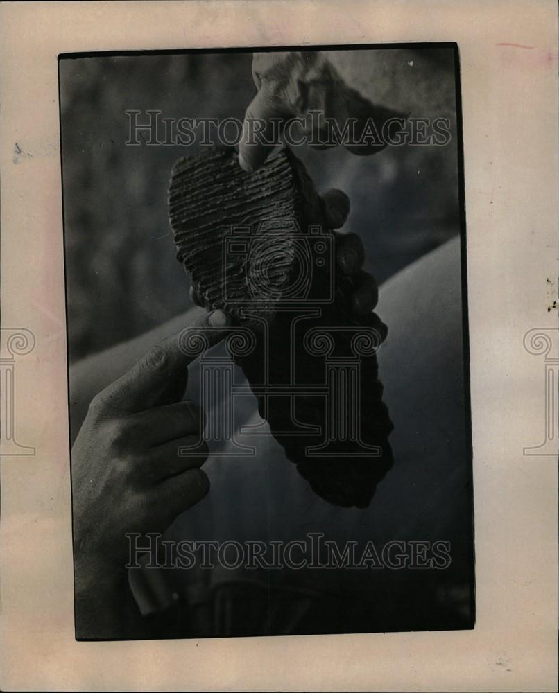 1972 Press Photo Mammoth Extinct Genus Tons Sardinia - Historic Images