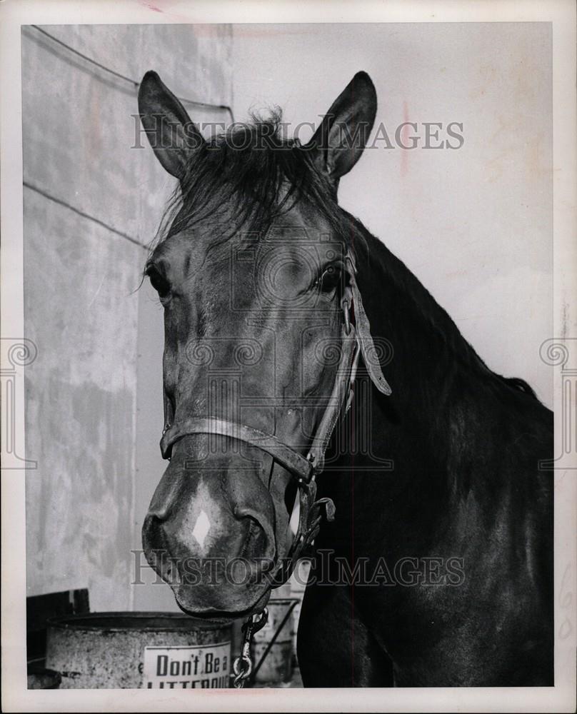 1967 Press Photo Michigan State Fair - Historic Images