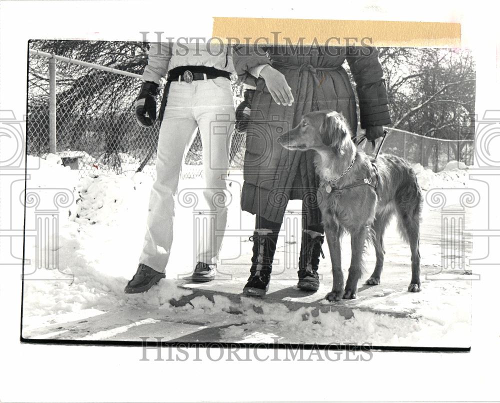 1981 Press Photo blind guide dog leader training - Historic Images