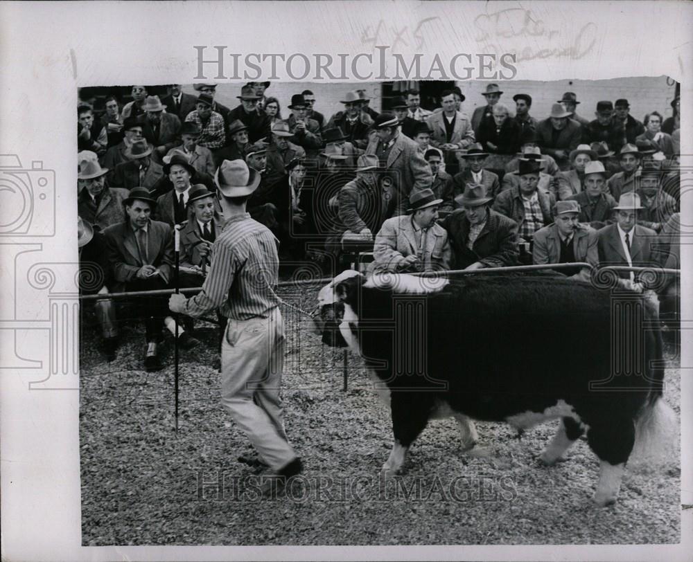 1958 Press Photo livestock stock show - Historic Images