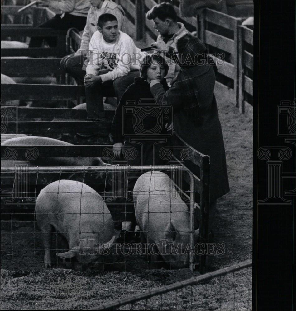 1960 Press Photo Michigan Junior Livestock Society - Historic Images